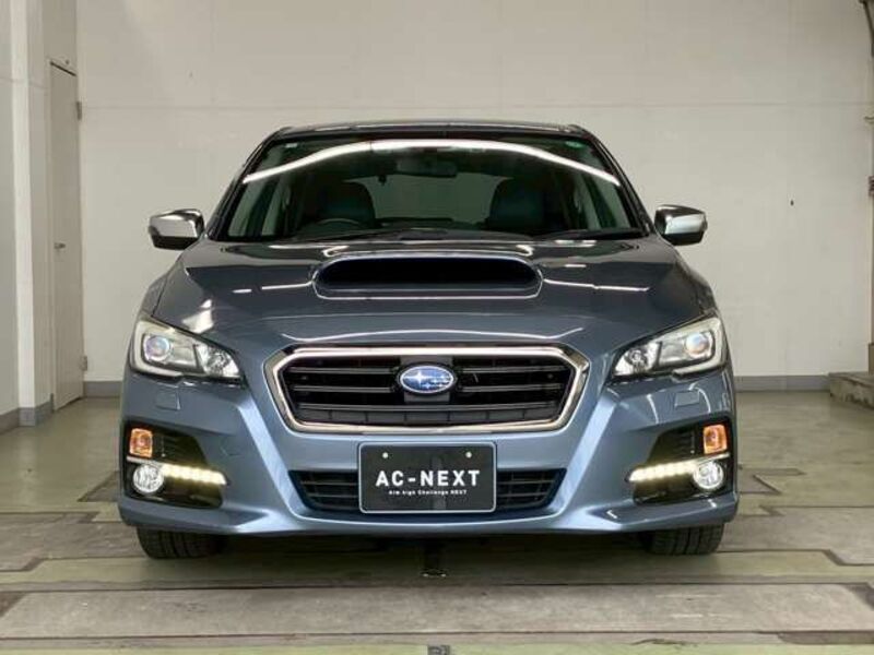 LEVORG