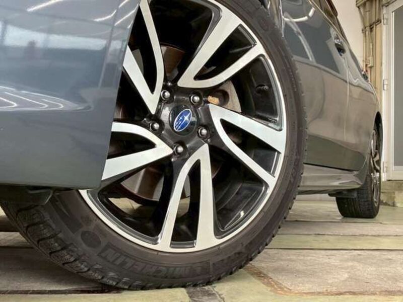 LEVORG