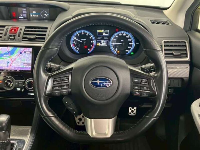 LEVORG