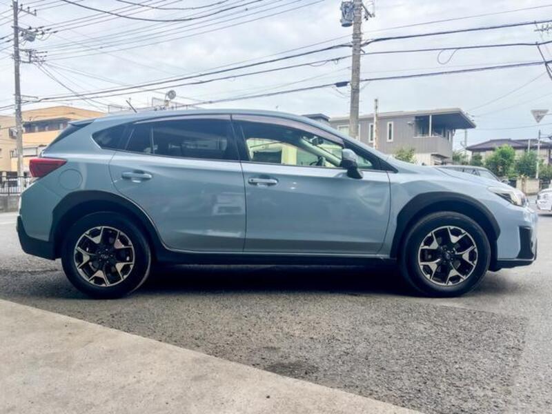 XV