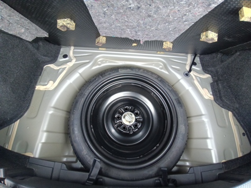 AURIS