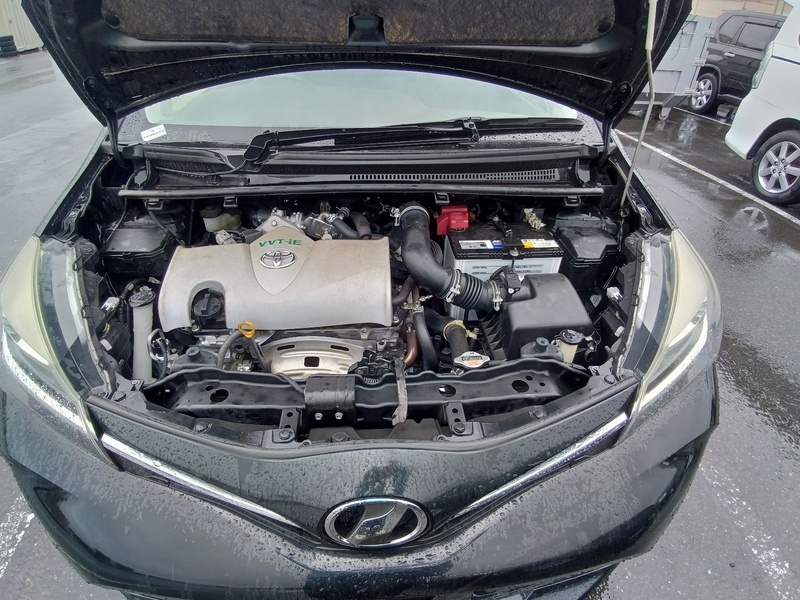 VITZ