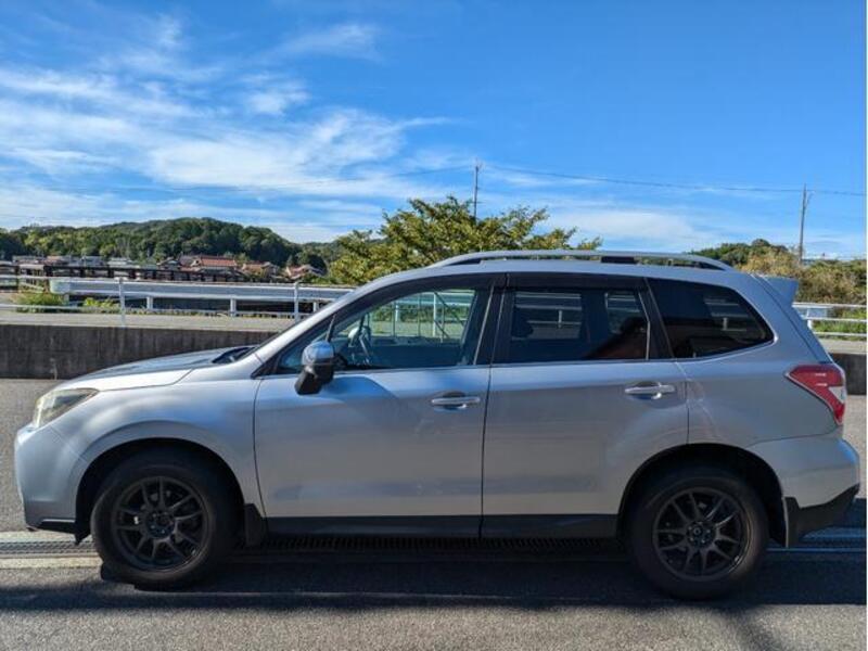 FORESTER