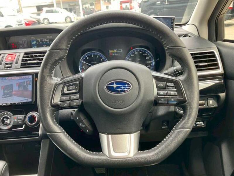 LEVORG