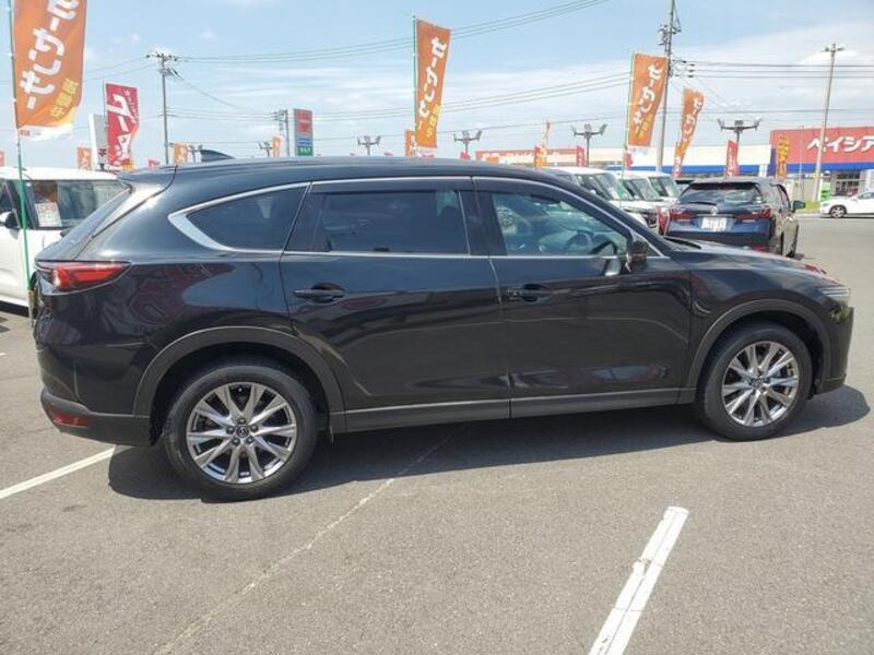 CX-8
