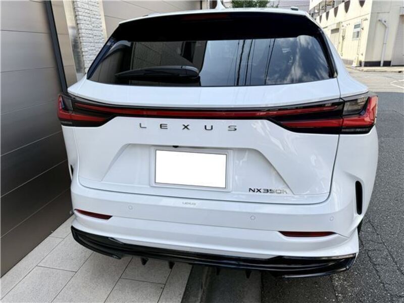NX