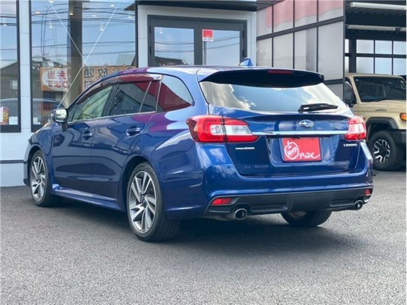 LEVORG