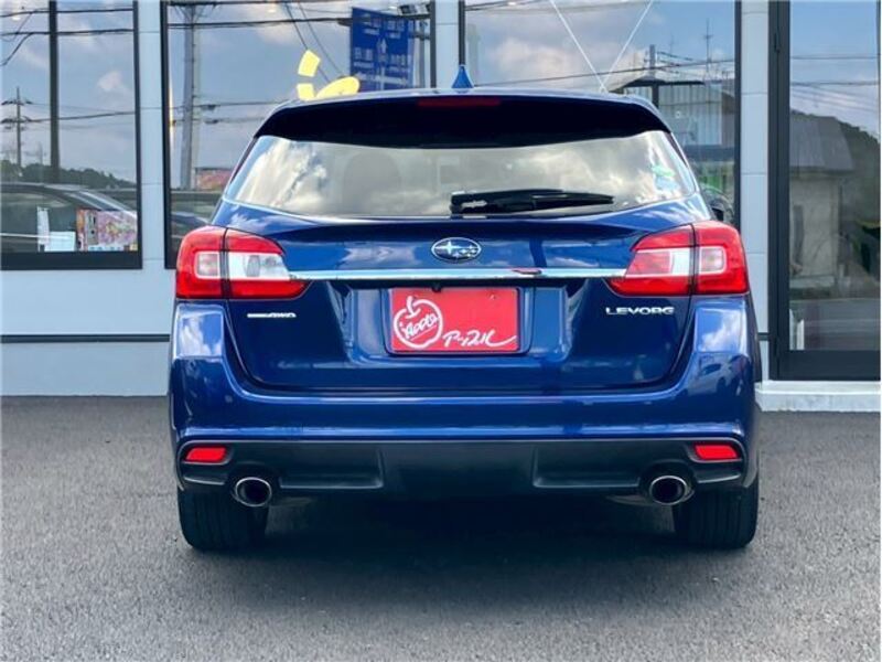 LEVORG