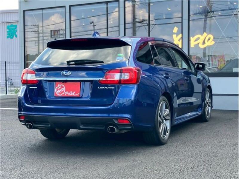 LEVORG
