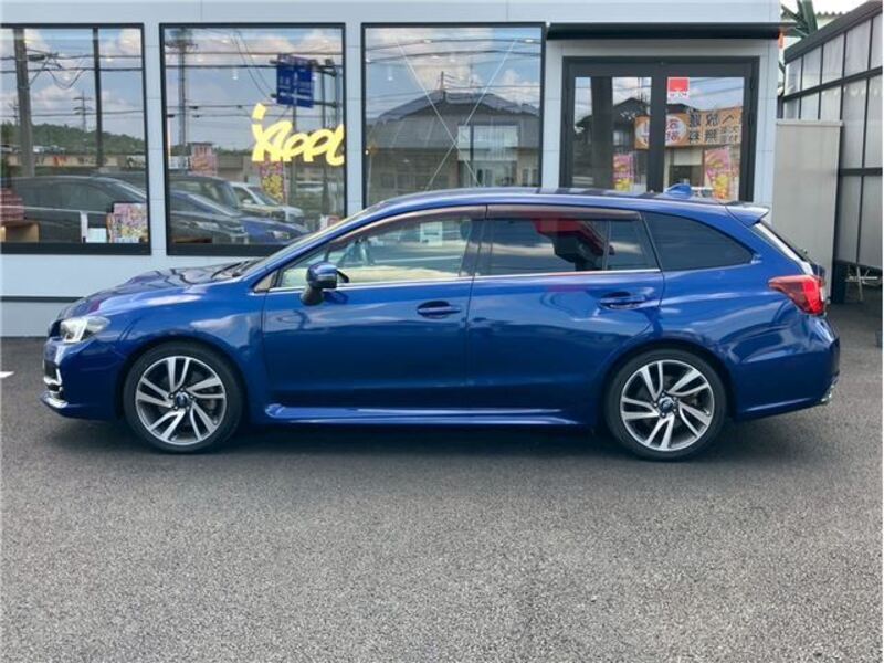 LEVORG