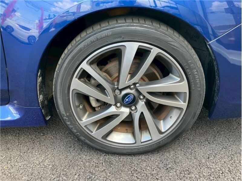 LEVORG