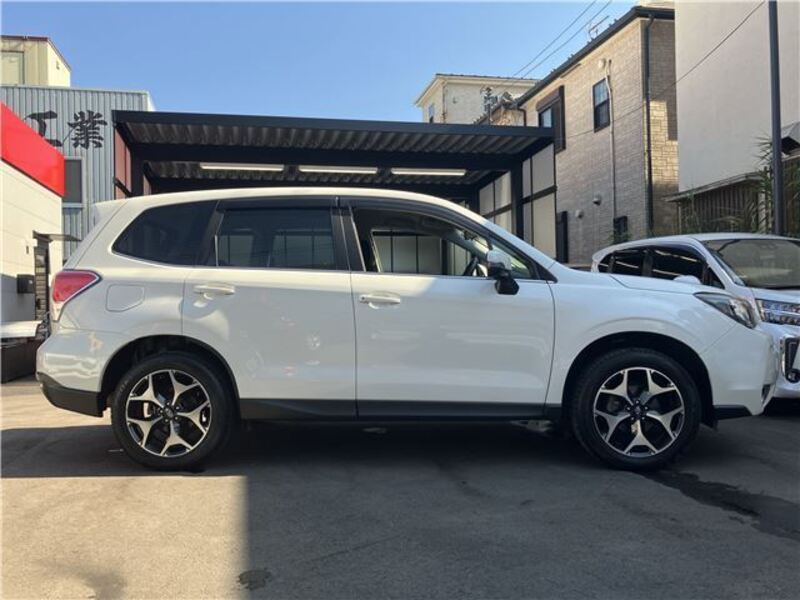 FORESTER