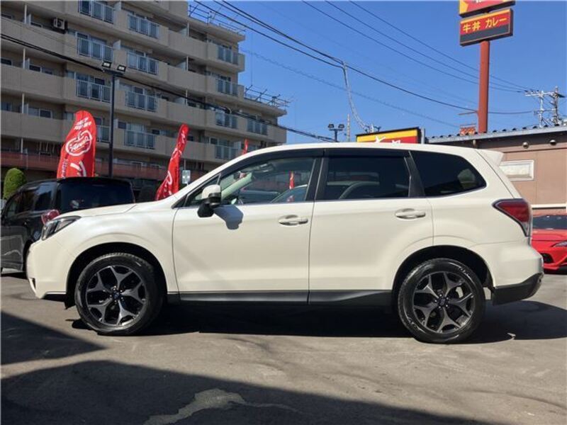 FORESTER