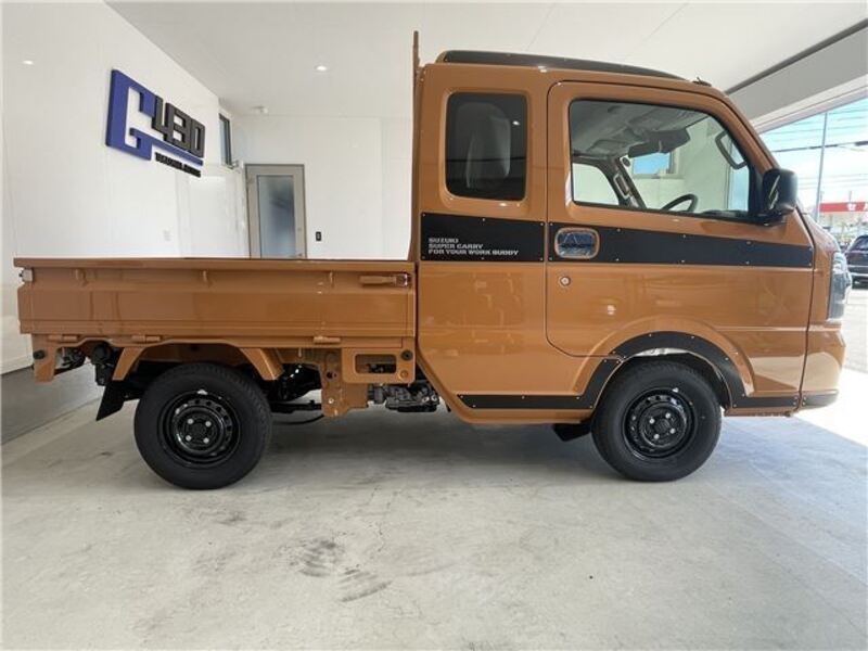 CARRY TRUCK