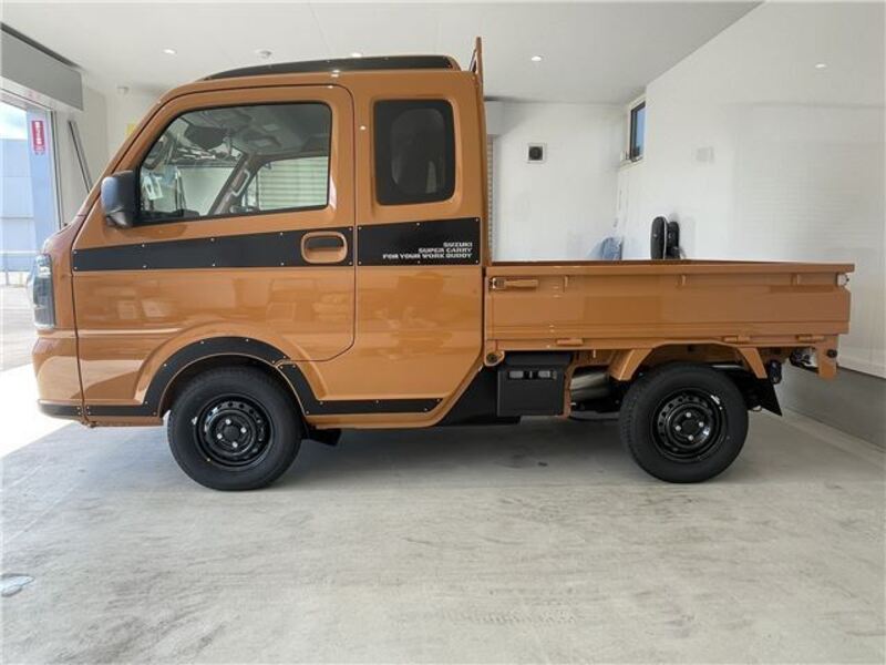 CARRY TRUCK