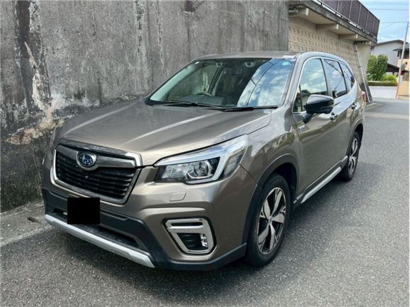 FORESTER