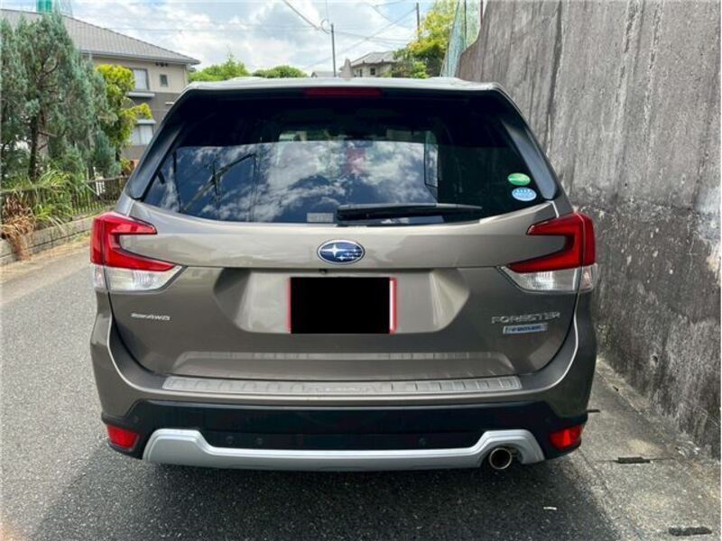FORESTER
