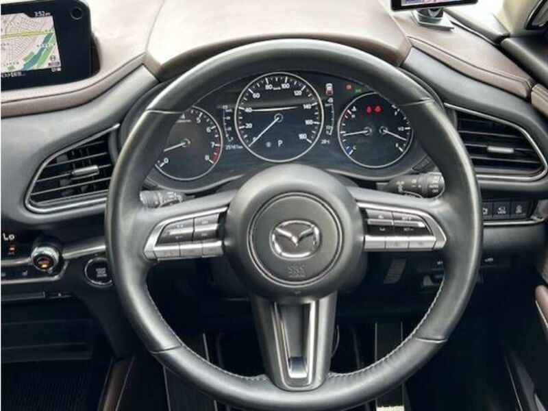 CX-30