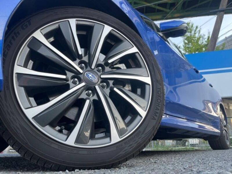 LEVORG