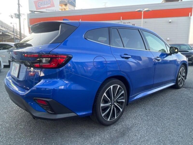 LEVORG