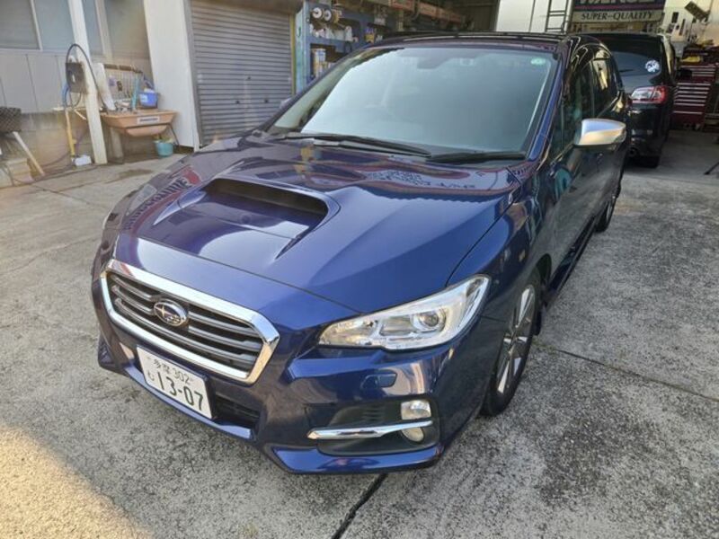 LEVORG-0