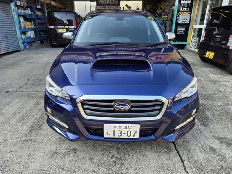 LEVORG