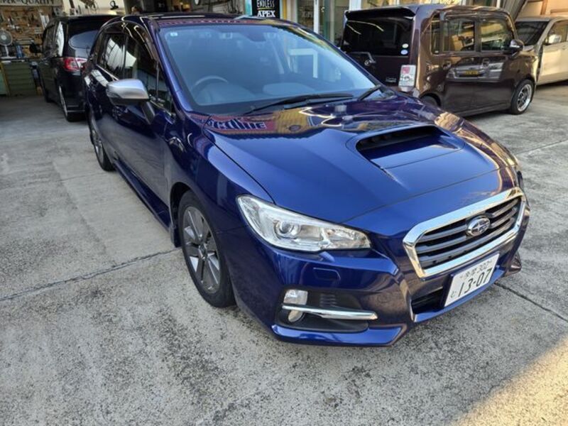 LEVORG
