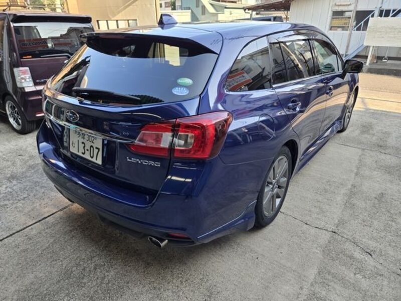 LEVORG