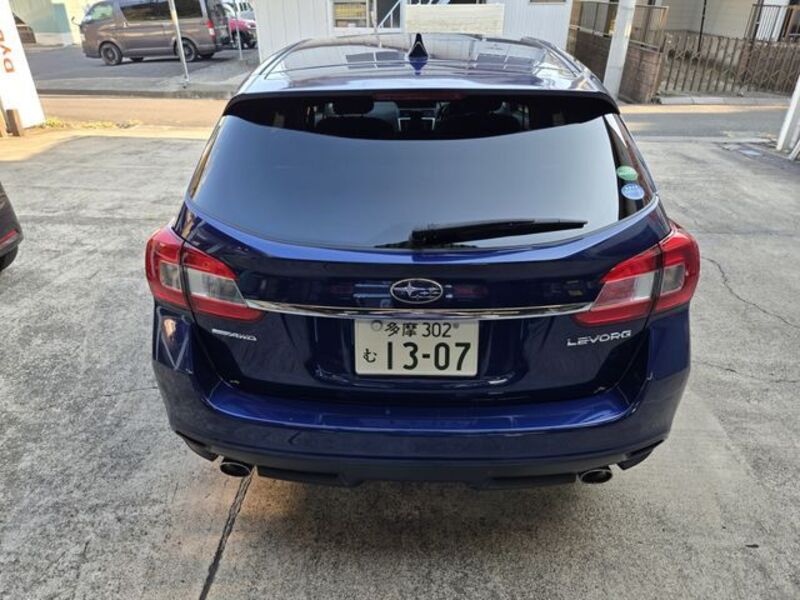 LEVORG