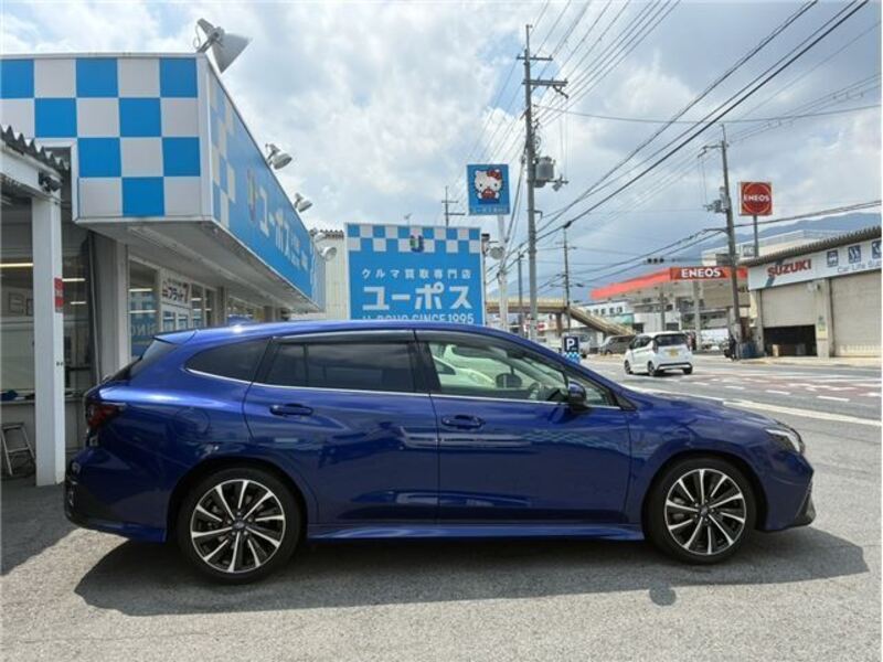 LEVORG