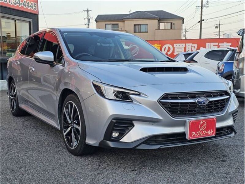 LEVORG