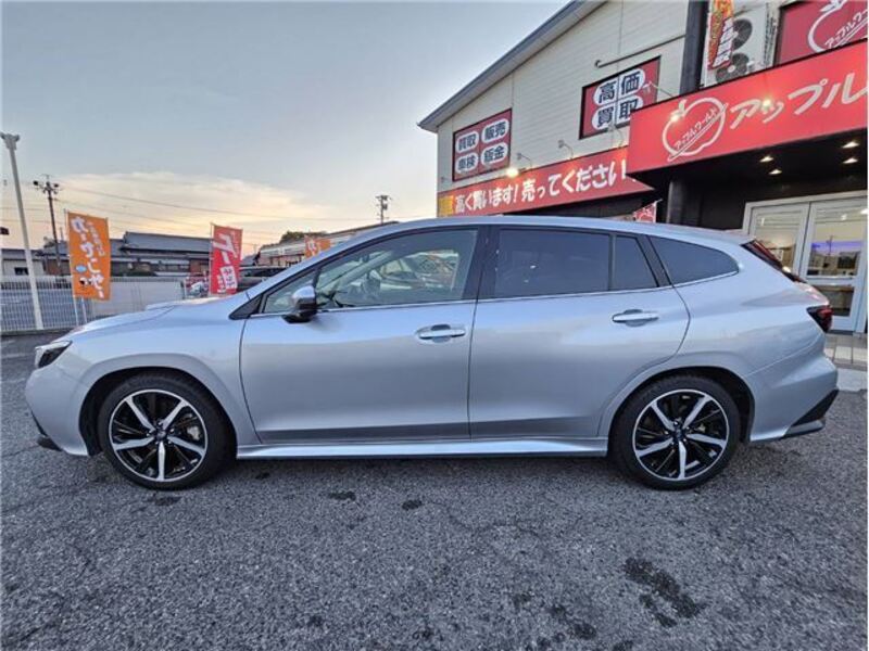 LEVORG