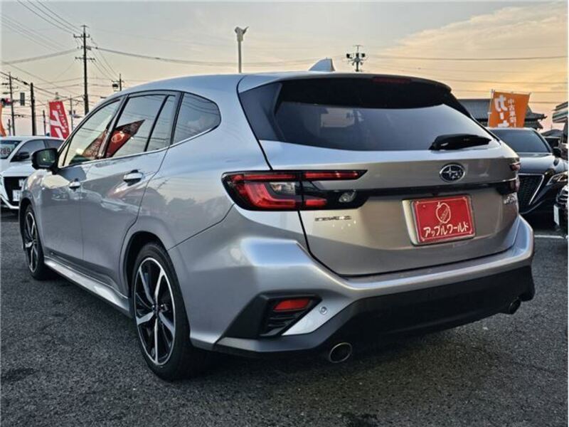 LEVORG