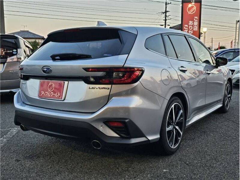 LEVORG