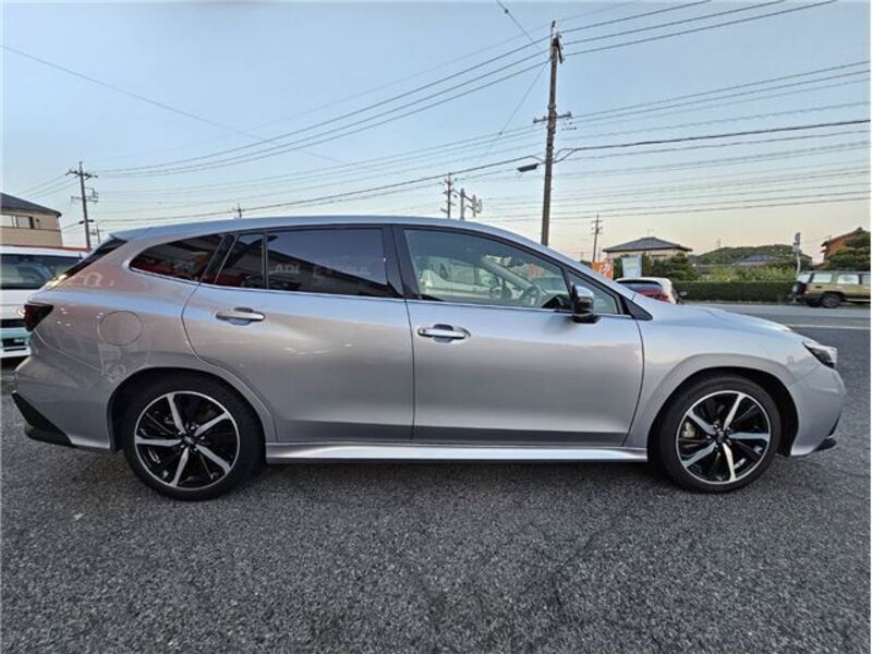 LEVORG