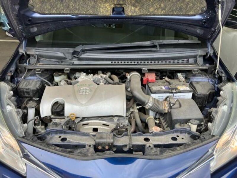 VITZ