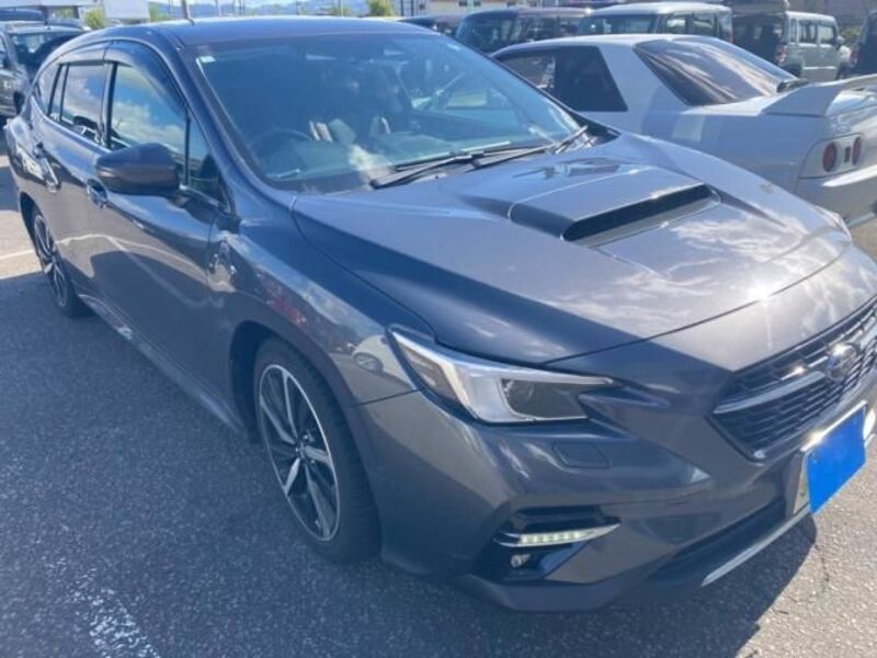 LEVORG