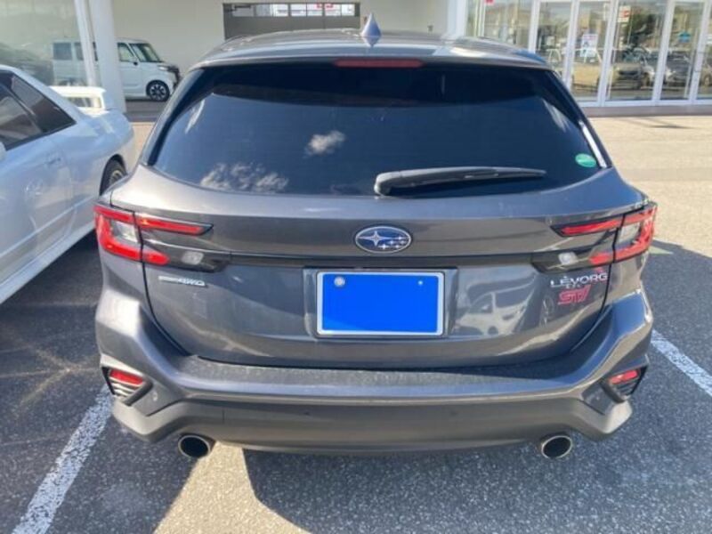 LEVORG