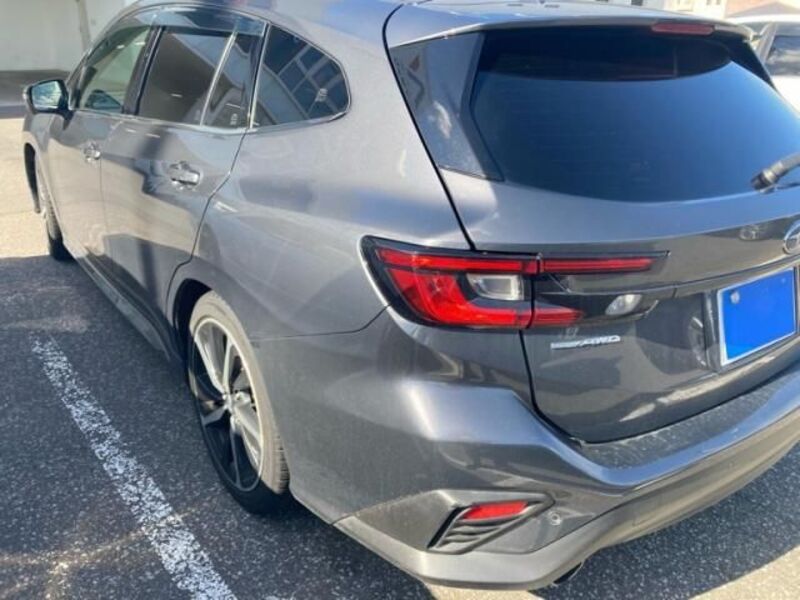 LEVORG