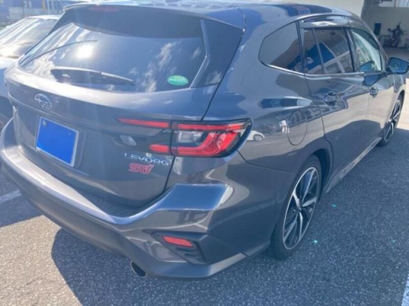 LEVORG
