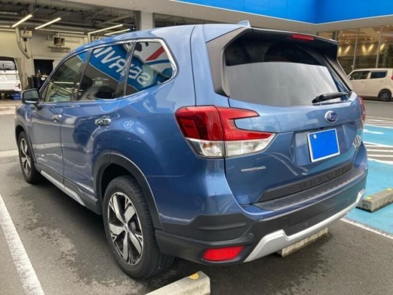 FORESTER