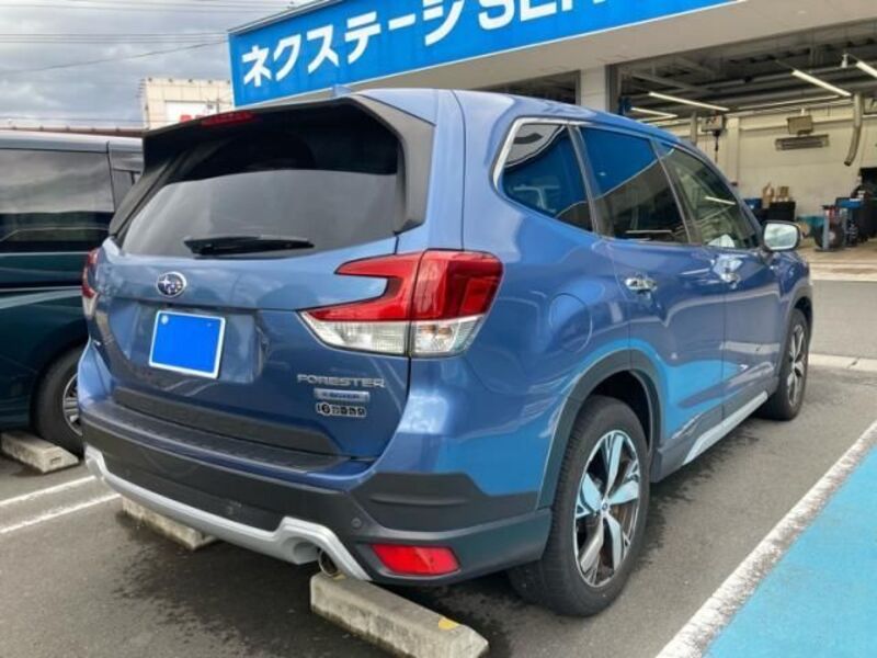 FORESTER