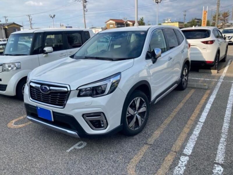 FORESTER