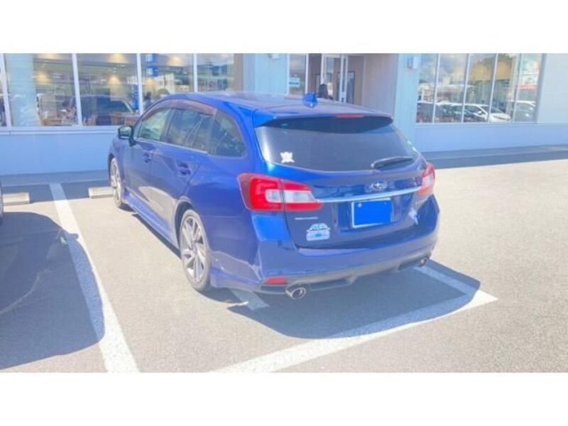 LEVORG