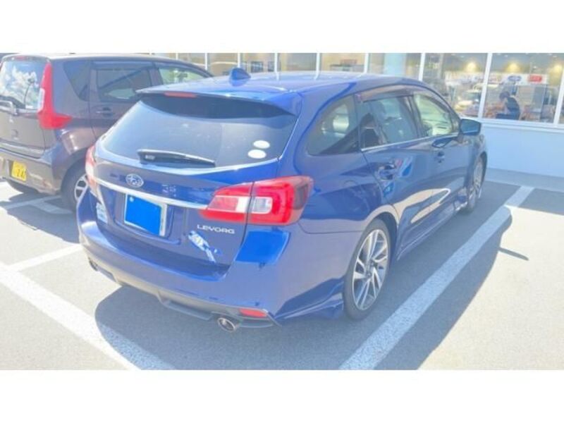 LEVORG