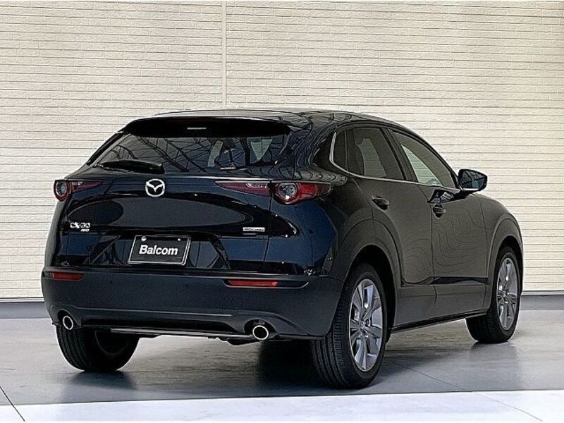 CX-30