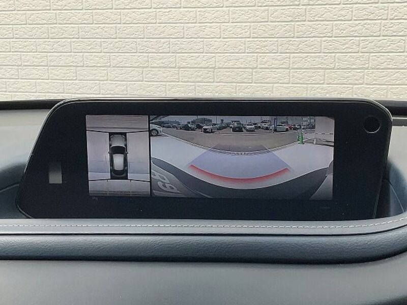CX-30