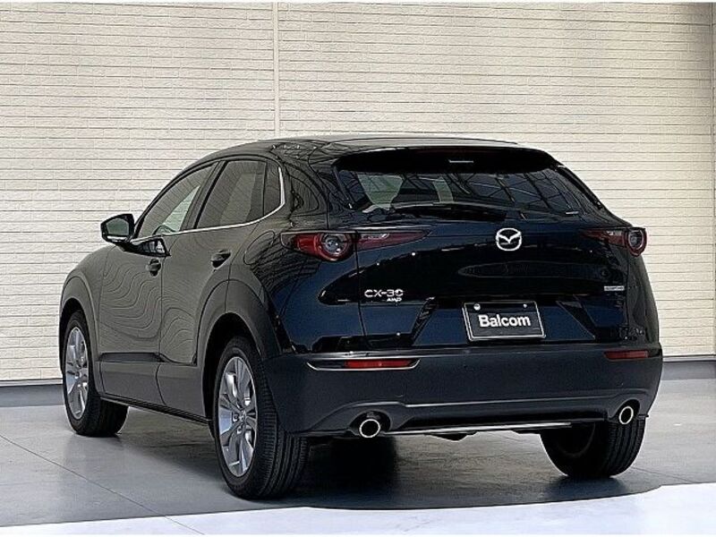 CX-30