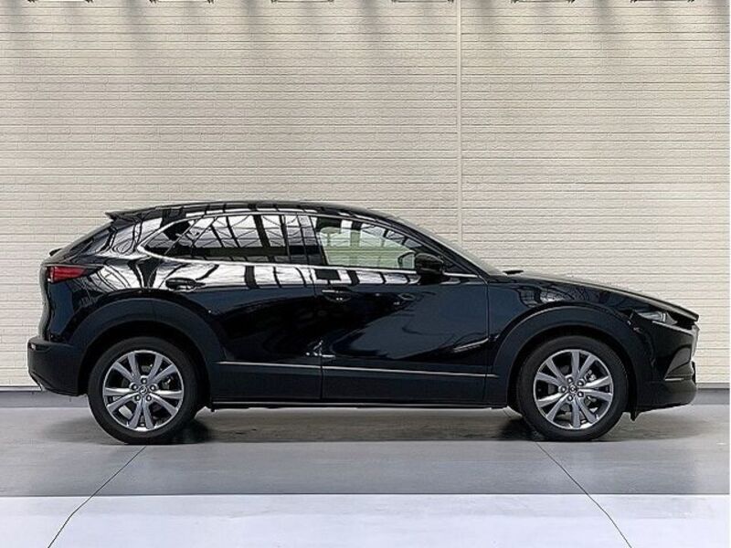 CX-30