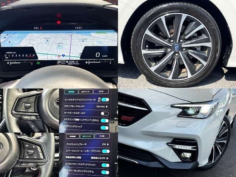 LEVORG
